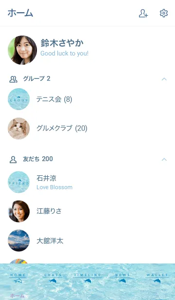 [LINE着せ替え] SUMMER SEA HAWAII-BLUE DOLPHIN 9の画像2