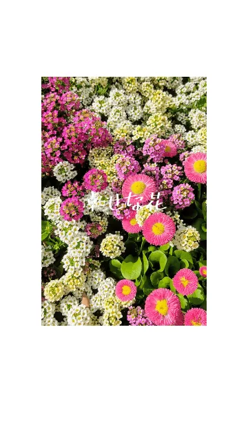 [LINE着せ替え] 幸せな花の画像1