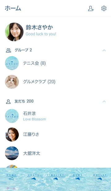 [LINE着せ替え] SUMMER SEA HAWAII-BLUE DOLPHIN 12の画像2