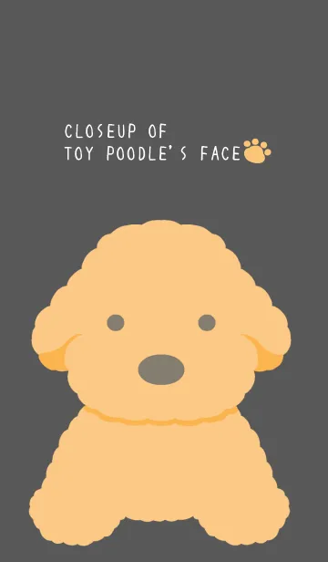 [LINE着せ替え] シンプルなトイプードルの着せかえ/黒の画像1