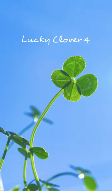 [LINE着せ替え] LuckyClover4の画像1