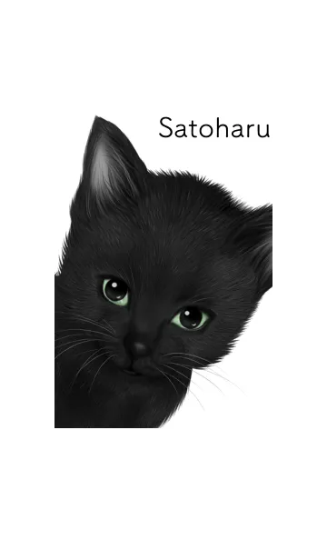 [LINE着せ替え] さとはる用可愛い黒猫子猫の画像1