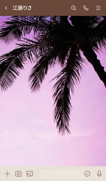 [LINE着せ替え] Setting sun ALOHA 6の画像3