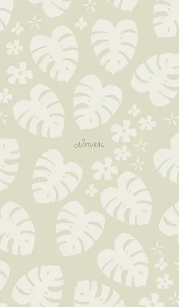 [LINE着せ替え] モンステラ 白 ランダム20の画像1