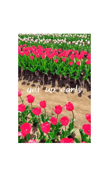 [LINE着せ替え] 早起き最高の画像1