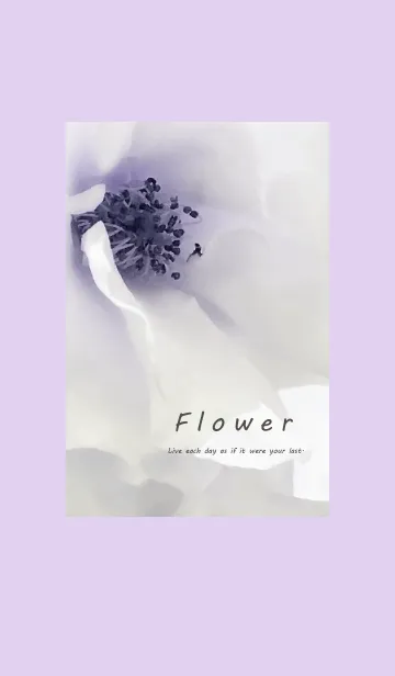 [LINE着せ替え] ～Flower♥パープル～の画像1