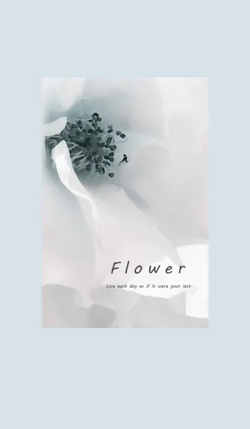 [LINE着せ替え] ～Flower♥グレー～の画像1