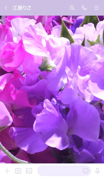 [LINE着せ替え] SWEET PEA 16 -PURPLE-の画像3