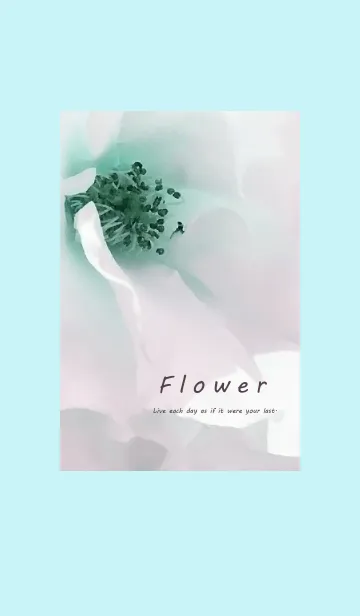 [LINE着せ替え] ～Flower♥グリーン～の画像1