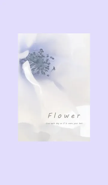 [LINE着せ替え] ～Flower♥パープル3～の画像1