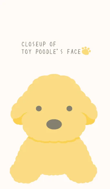 [LINE着せ替え] シンプルなトイプードル/ベージュの画像1