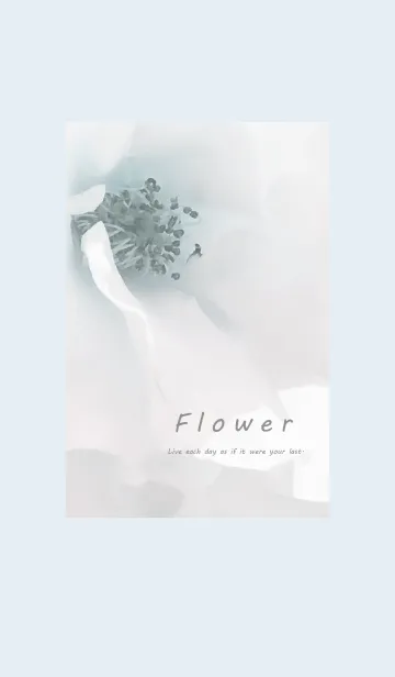 [LINE着せ替え] ～Flower♥グレー3～の画像1