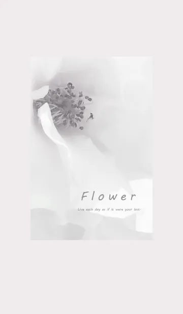 [LINE着せ替え] ～Flower♥ベージュ2～の画像1