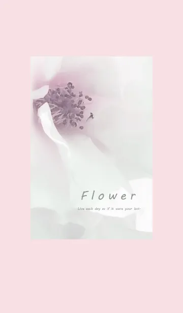 [LINE着せ替え] ～Flower♥ピンク3～の画像1