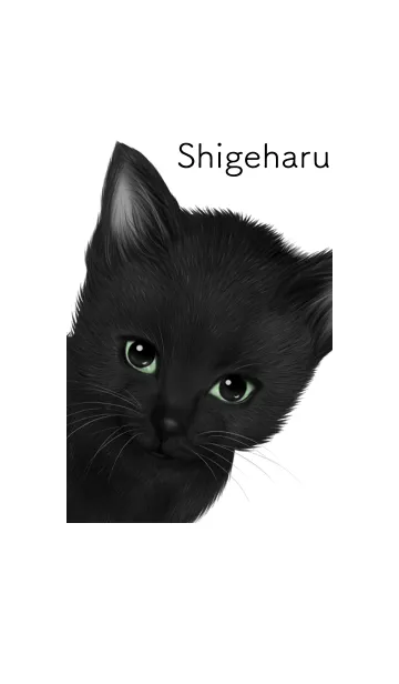 [LINE着せ替え] しげはる用可愛い黒猫子猫の画像1