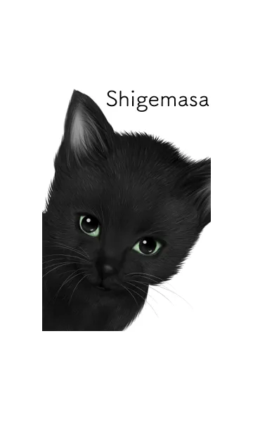 [LINE着せ替え] しげまさ用可愛い黒猫子猫の画像1