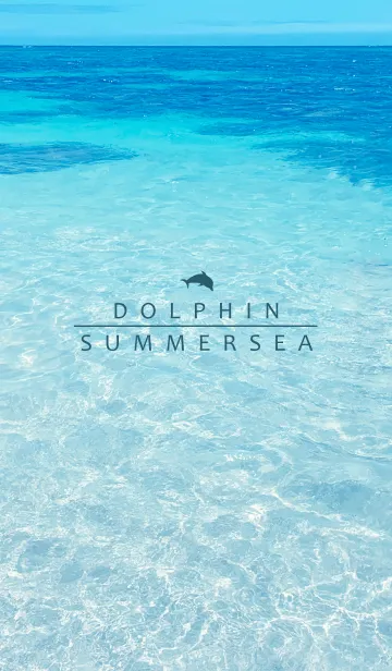 [LINE着せ替え] SUMMER SEA HAWAII-BLUE DOLPHIN 14の画像1