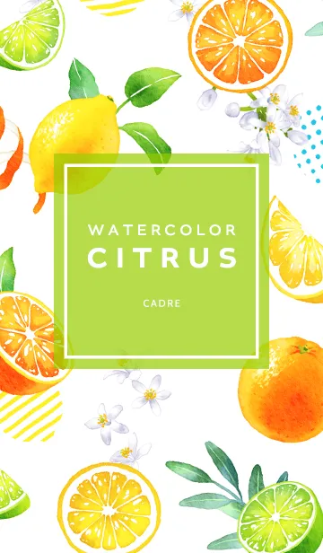 [LINE着せ替え] Watercolor Citrusの画像1