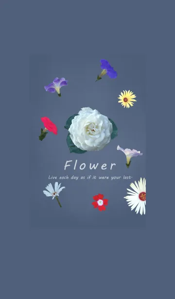 [LINE着せ替え] ～Flower♥ブルー6～の画像1