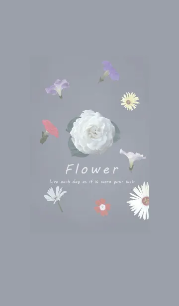[LINE着せ替え] ～Flower♥グレー7～の画像1