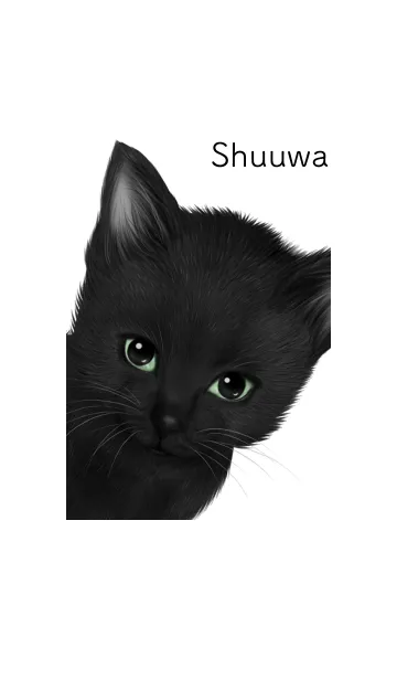 しゅうわ用可愛い黒猫子猫の着せ替えメイン画像
