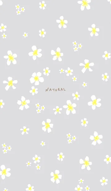 [LINE着せ替え] 白い小花が舞う30の画像1