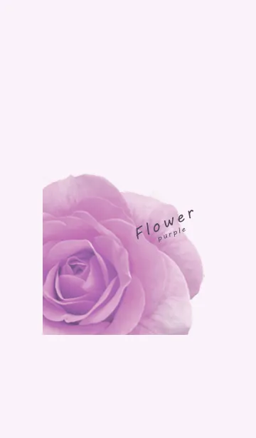 [LINE着せ替え] ～Flower♥パープル13～の画像1