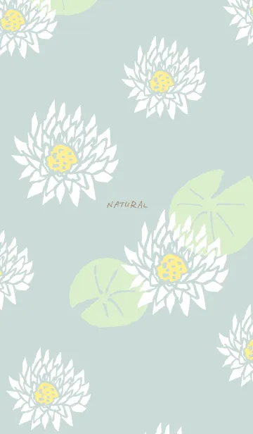 [LINE着せ替え] 白い蓮の花19の画像1