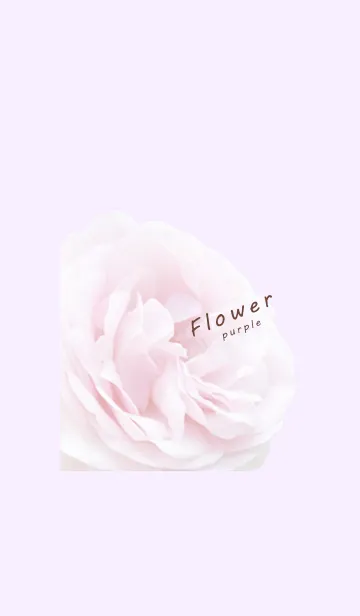 [LINE着せ替え] ～Flower♥パープル15～の画像1