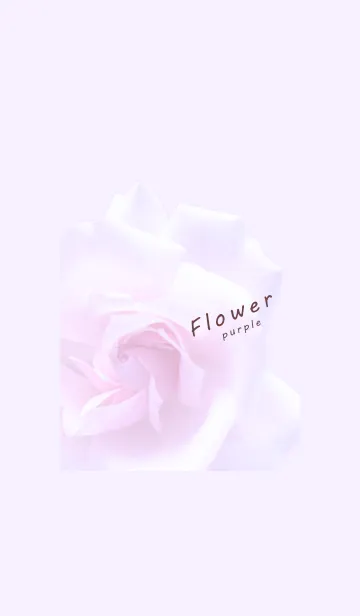 [LINE着せ替え] ～Flower♥パープル16～の画像1
