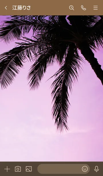 [LINE着せ替え] Setting sun ALOHA 21の画像3