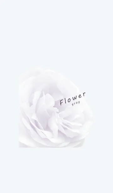 [LINE着せ替え] ～Flower♥グレー11～の画像1