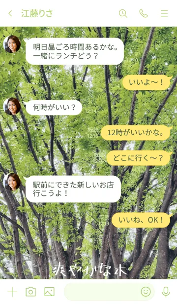 [LINE着せ替え] 爽やかな木の画像4