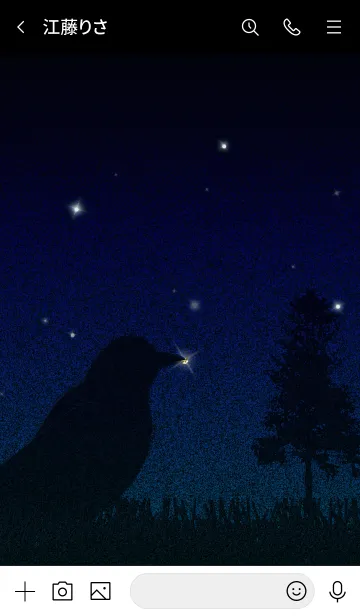 [LINE着せ替え] カラス/ブラック15.v2の画像3