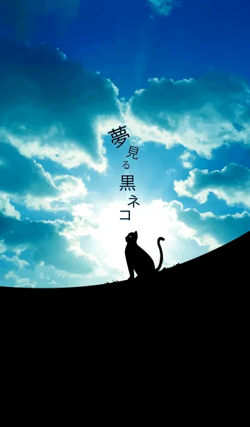 [LINE着せ替え] 夢見る黒猫の画像1