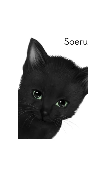 [LINE着せ替え] そえる用可愛い黒猫子猫の画像1