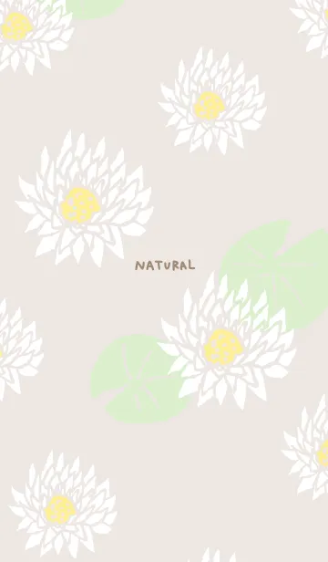 [LINE着せ替え] 白い蓮の花11の画像1