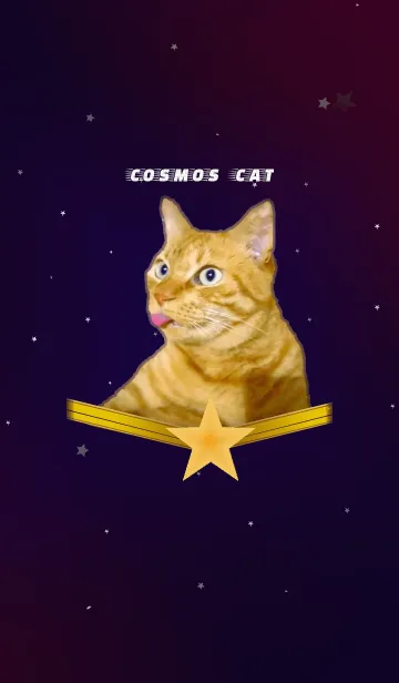 [LINE着せ替え] cosmos catの画像1