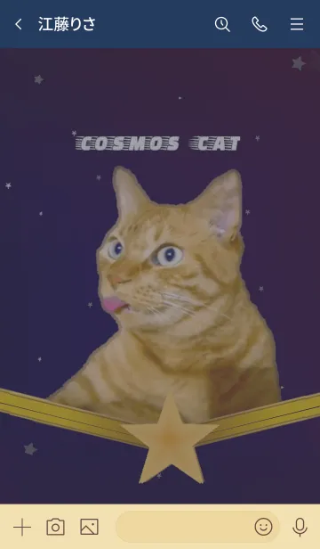 [LINE着せ替え] cosmos catの画像3