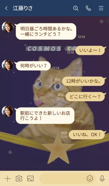 [LINE着せ替え] cosmos catの画像4