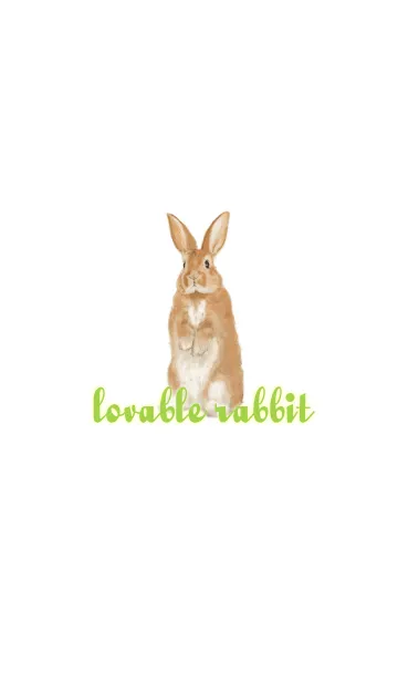 [LINE着せ替え] lovable rabbitの画像1