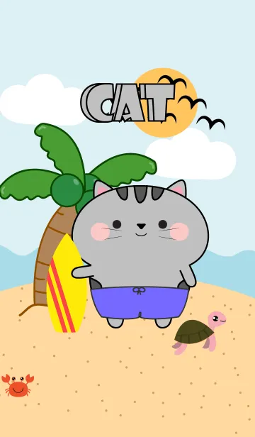 Grey Cat On The Beach Theme (JP)の着せ替えメイン画像