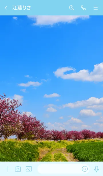 [LINE着せ替え] 「青い空2」のきせかえの画像3