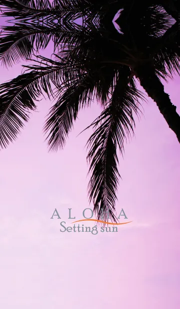 [LINE着せ替え] Setting sun ALOHA 30の画像1