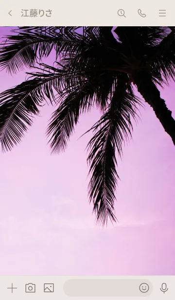 [LINE着せ替え] Setting sun ALOHA 30の画像3