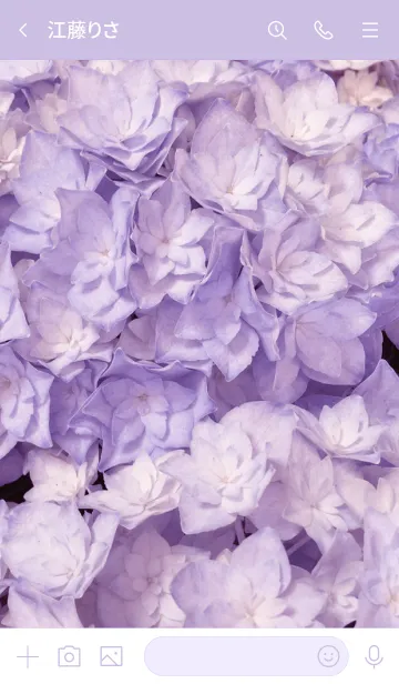 [LINE着せ替え] AJISAI-Purple Flower MEKYM 4の画像3