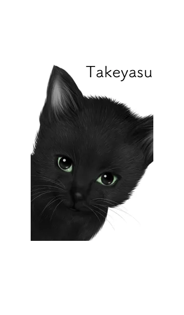 [LINE着せ替え] たけやす用可愛い黒猫子猫の画像1