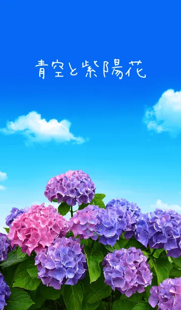 [LINE着せ替え] 爽やか∞青空と紫陽花の着せかえの画像1