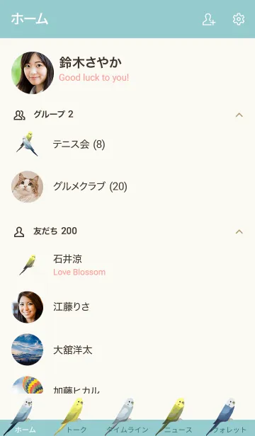 [LINE着せ替え] カラフルなセキセイインコ/アクアグリーンの画像2