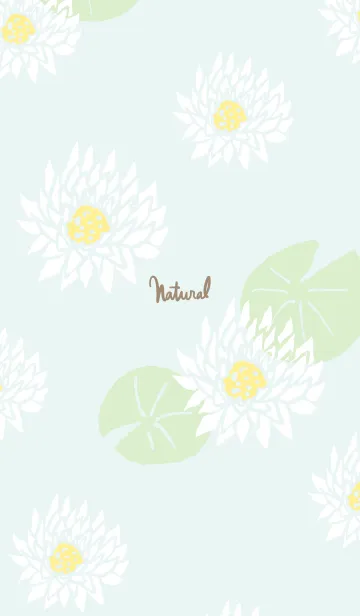 [LINE着せ替え] 白い蓮の花2の画像1